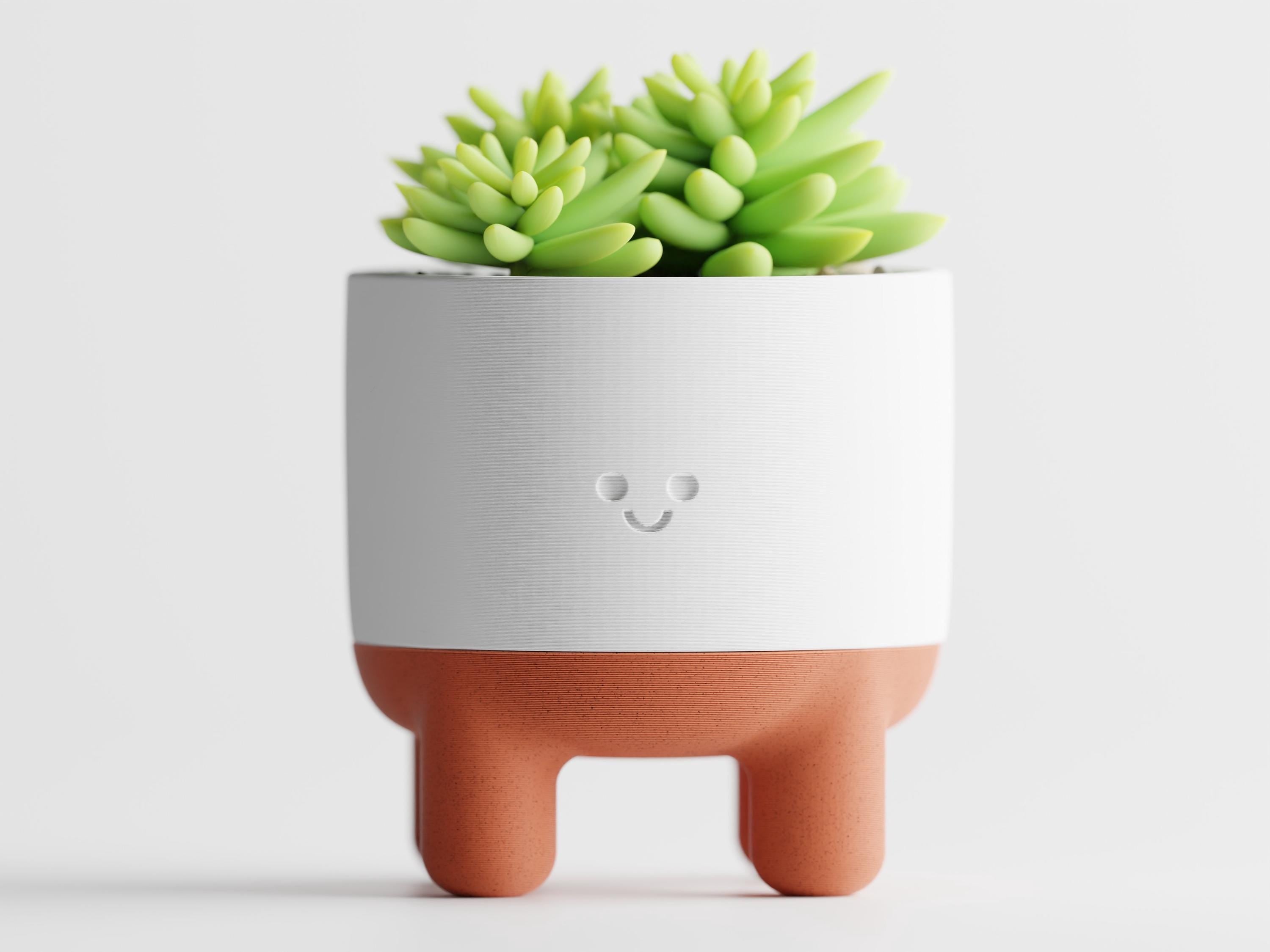 Indoor Planters