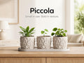 Piccola Trio Planter Set with Tray – Modern Textured Succulent Pots | Minimalist Indoor Plant Decor