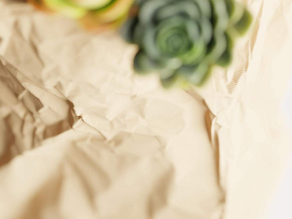 Crumpled Paper Bag Planter | Modern Sculptural 3D Printed Pot for Succulents