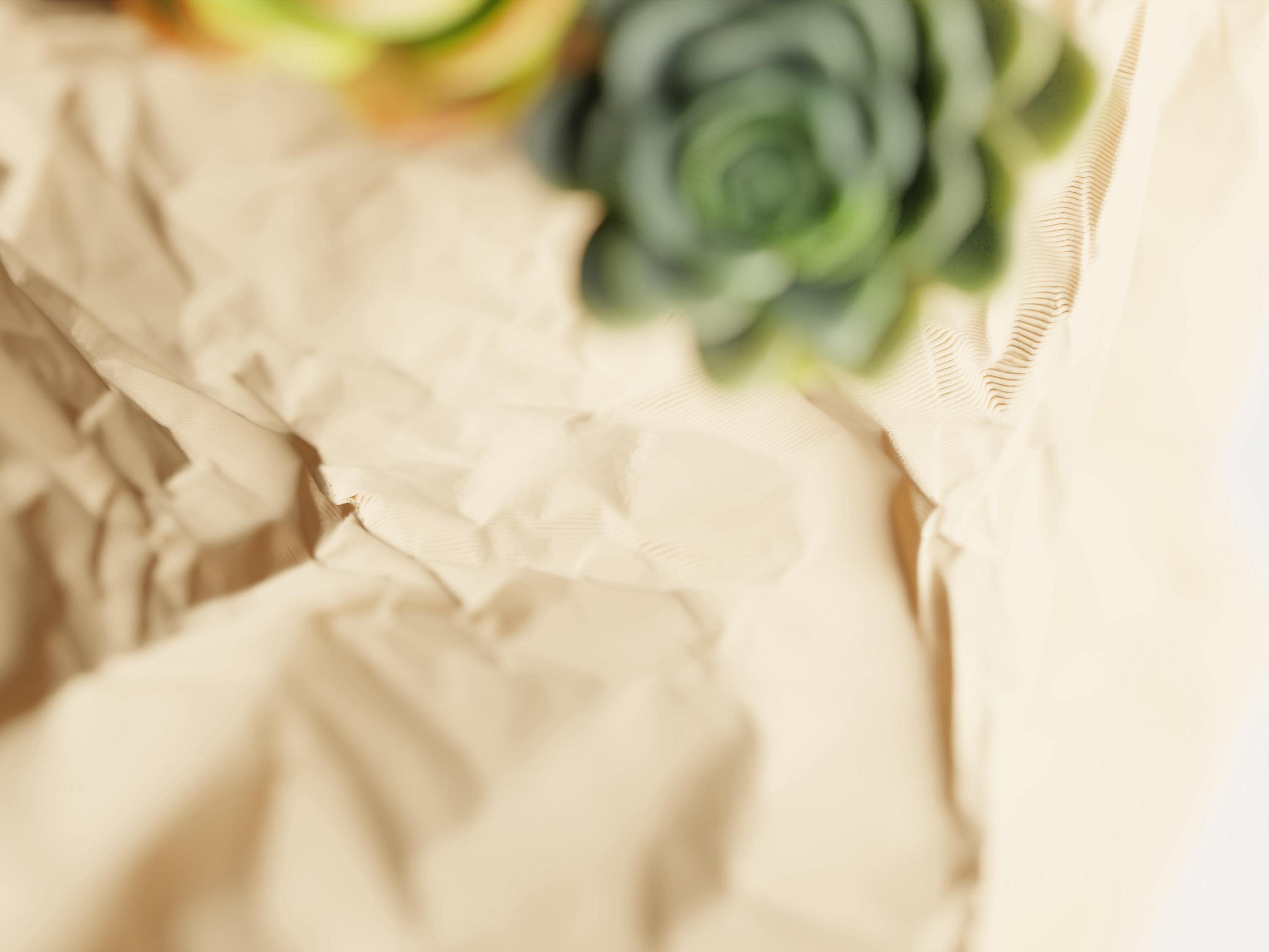 Crumpled Paper Bag Planter | Modern Sculptural 3D Printed Pot for Succulents