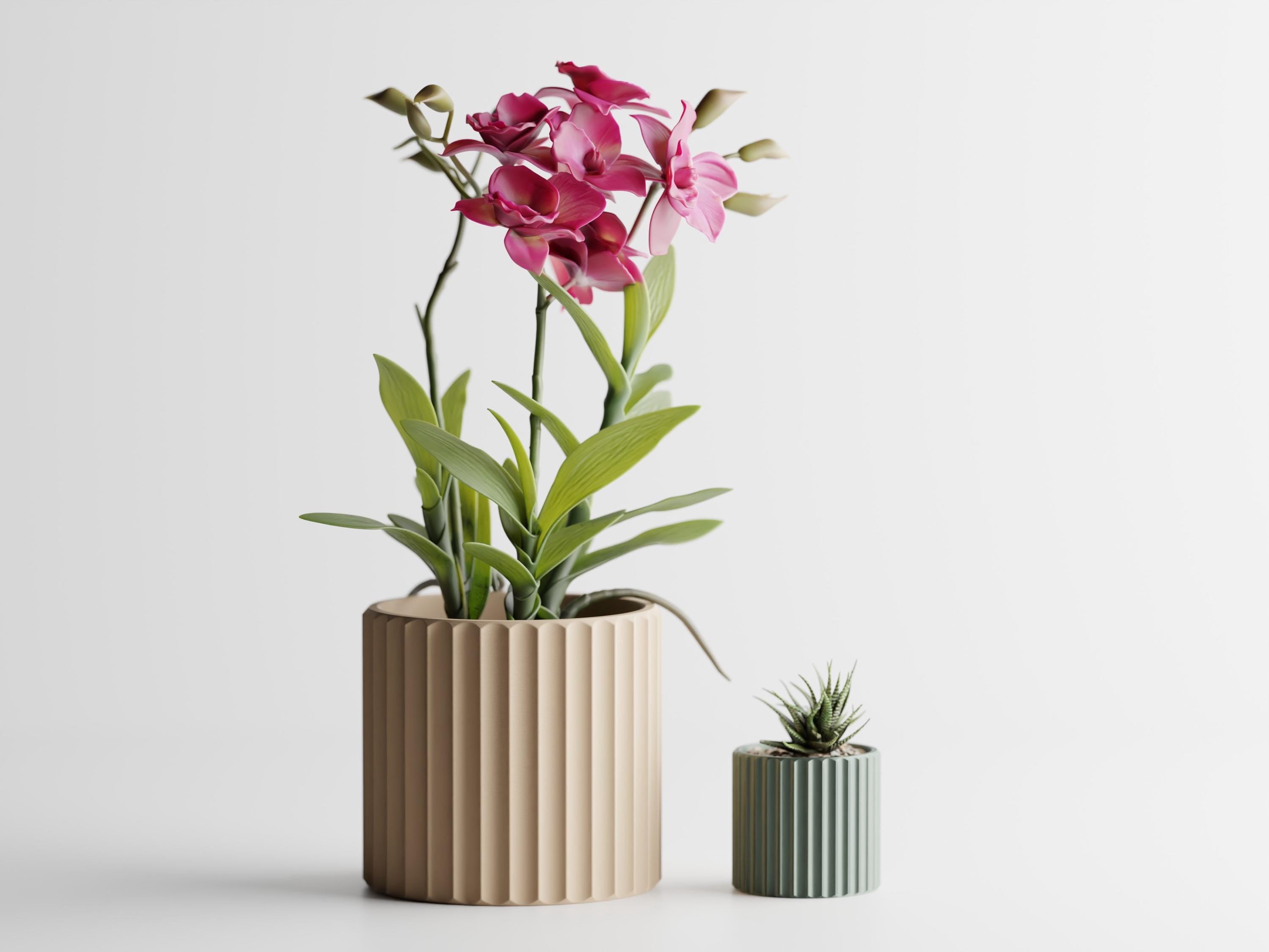 Fluted Planter, Ribbed Orchid Pot, Minimalist Modern Indoor Succulent Planter, Beige Home Decor