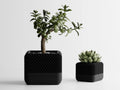 3D Printed Succulent Planter, Geometric Gyroid Mesh Pot, Minimalist Indoor Cactus Vase, Square PLA Plant Pot, Housewarming Gift