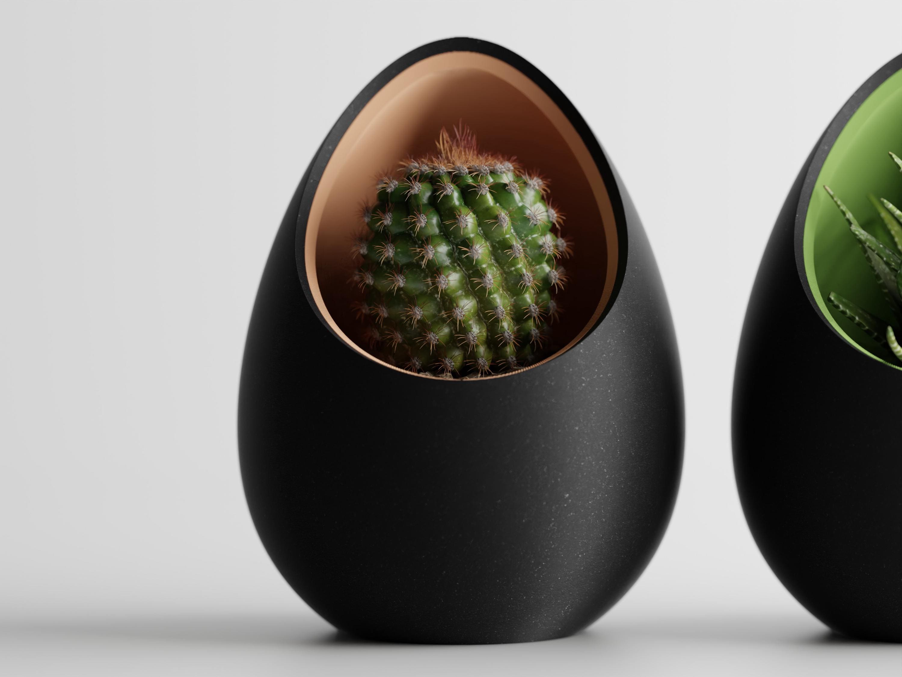 Modern Egg Succulent Planter, Minimalist Cactus Pot, Two-Part Decorative Planter