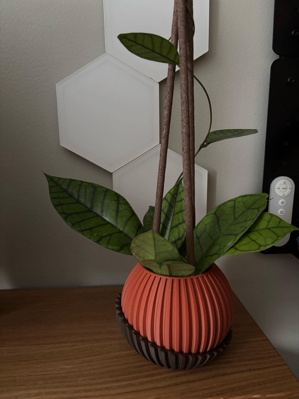 Zenith Planter | Modern Geometric Plant Pot | Scandinavian Home Decor