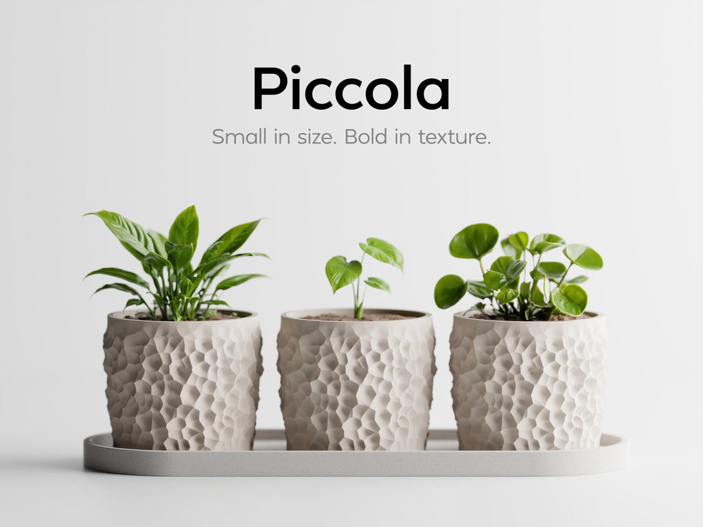 Piccola Trio Planter Set with Tray – Modern Textured Succulent Pots | Minimalist Indoor Plant Decor