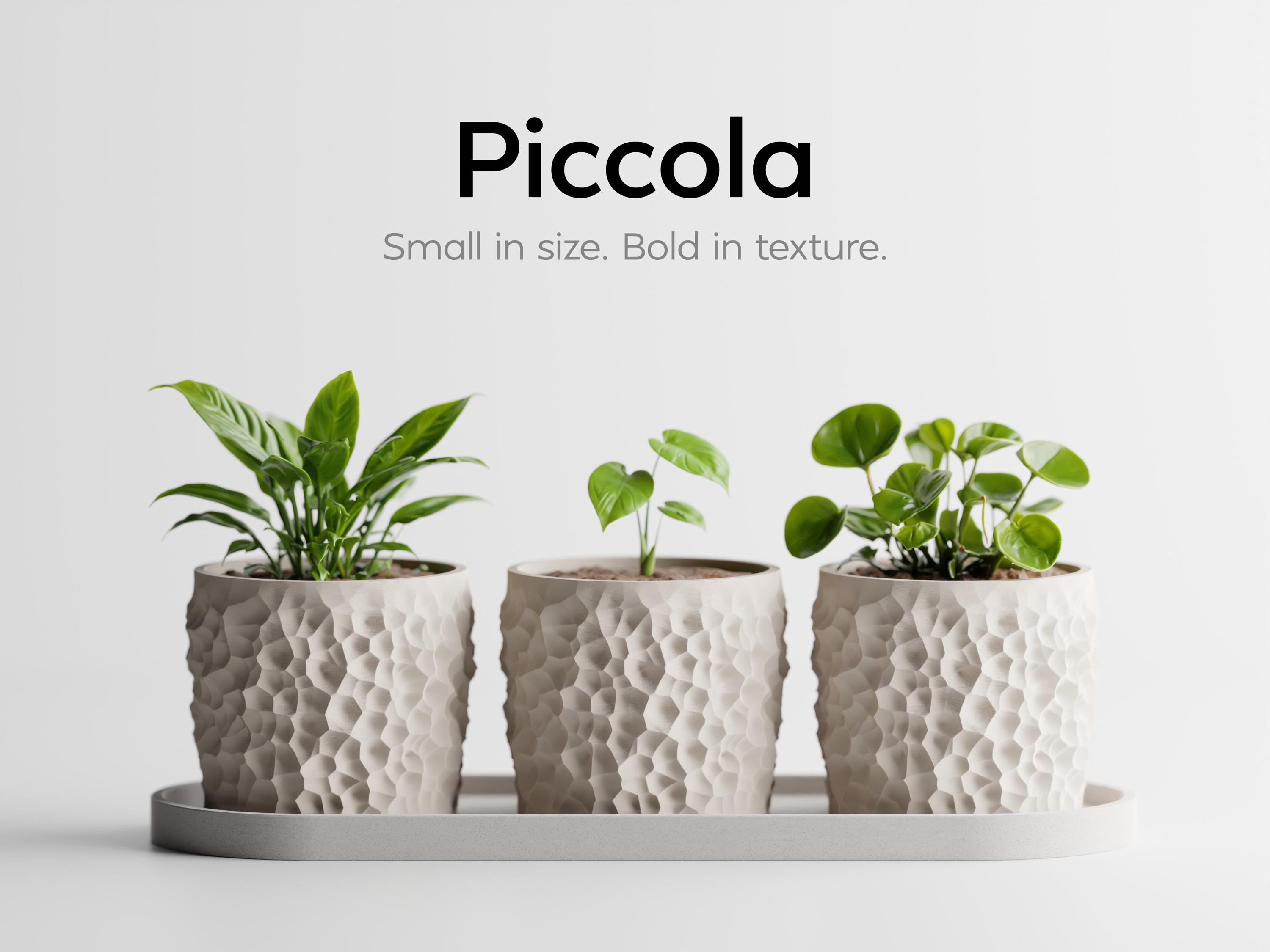 Piccola Trio Planter Set with Tray – Modern Textured Succulent Pots | Minimalist Indoor Plant Decor