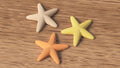 Japandi Starfish Ornament, Minimalist Coastal Shelf Decor, 3D Printed Sea Star Figurine