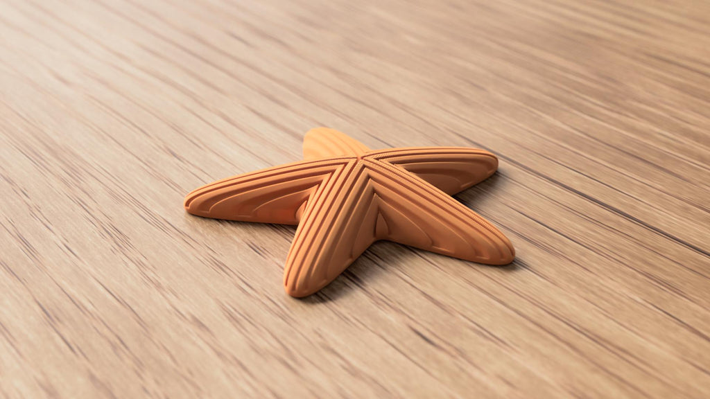 Japandi Starfish Ornament, Minimalist Coastal Shelf Decor, 3D Printed Sea Star Figurine