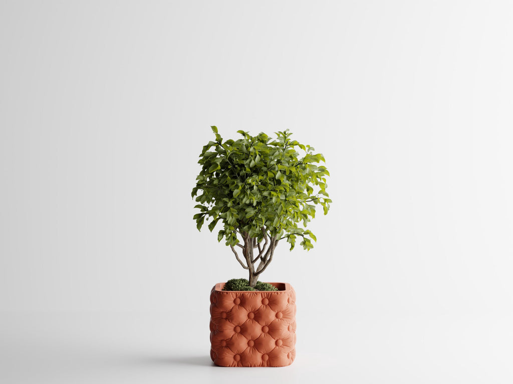 Chesterfield Style Tufted Button Planter, 3D Printed Quilted Succulent Pot