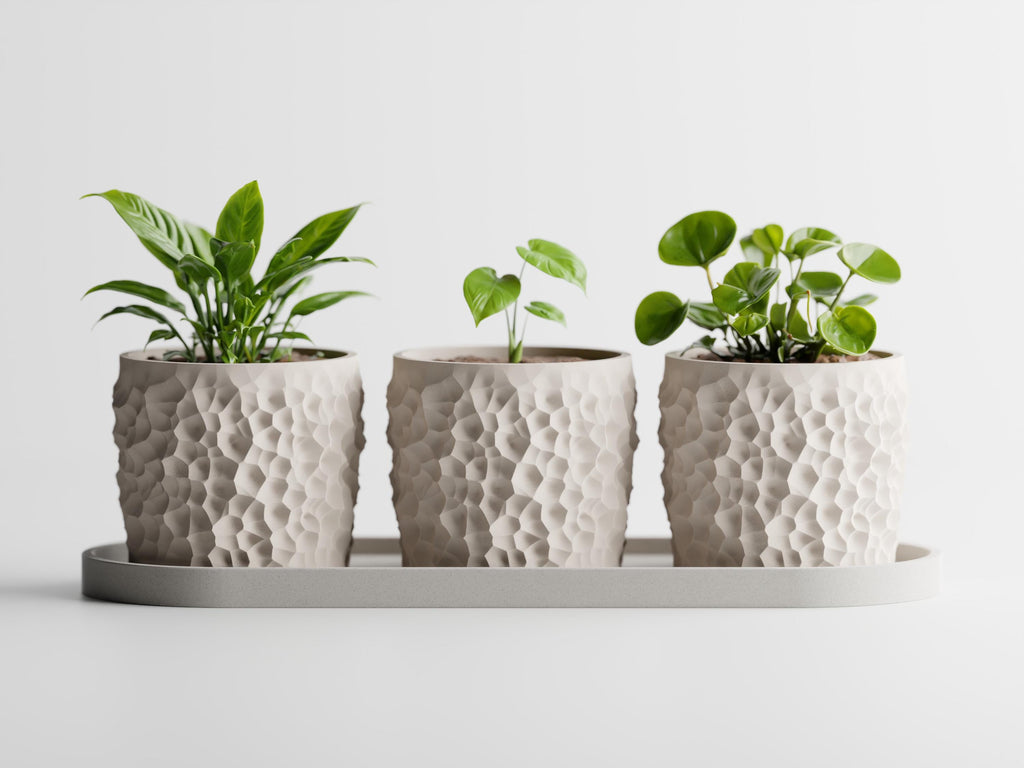 Piccola Trio Planter Set with Tray – Modern Textured Succulent Pots | Minimalist Indoor Plant Decor