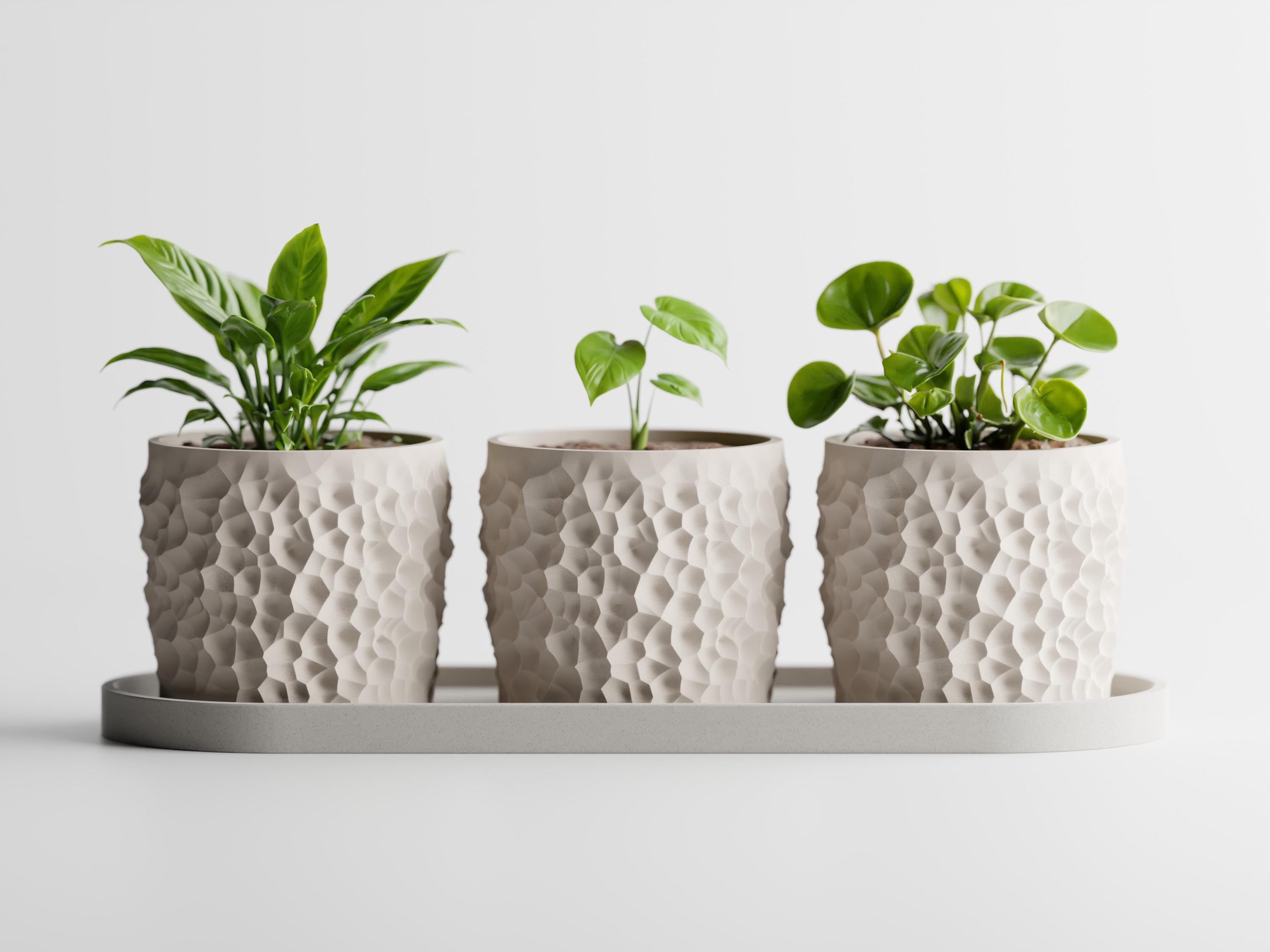 Piccola Trio Planter Set with Tray – Modern Textured Succulent Pots | Minimalist Indoor Plant Decor