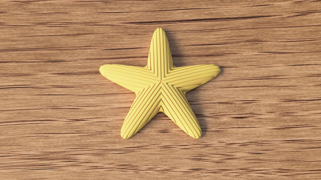 Japandi Starfish Ornament, Minimalist Coastal Shelf Decor, 3D Printed Sea Star Figurine