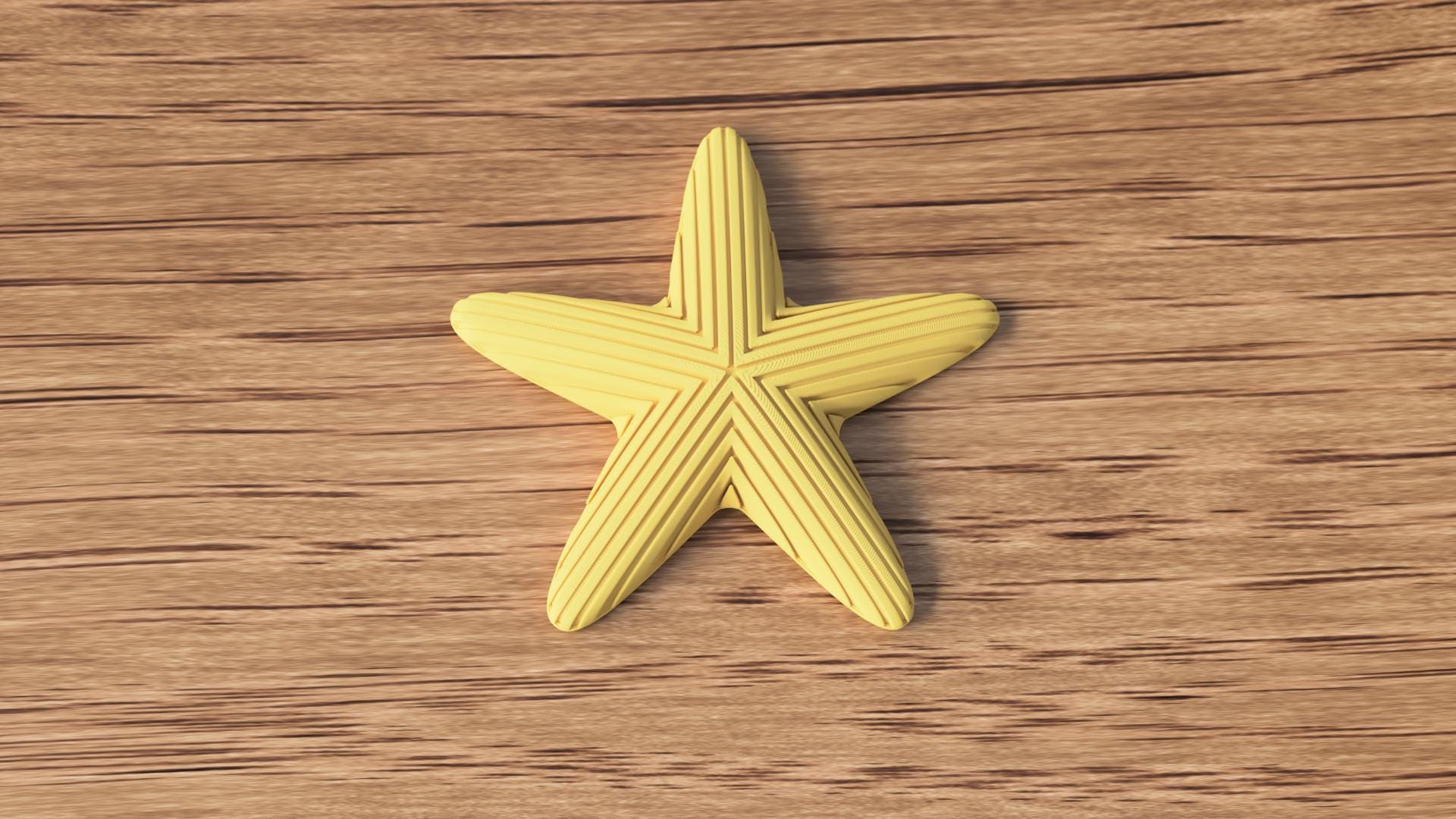 Japandi Starfish Ornament, Minimalist Coastal Shelf Decor, 3D Printed Sea Star Figurine