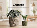 Cratera Textured Planter Pot, Stone Effect 3D Printed Plant Pot, Indoor Decorative Houseplant