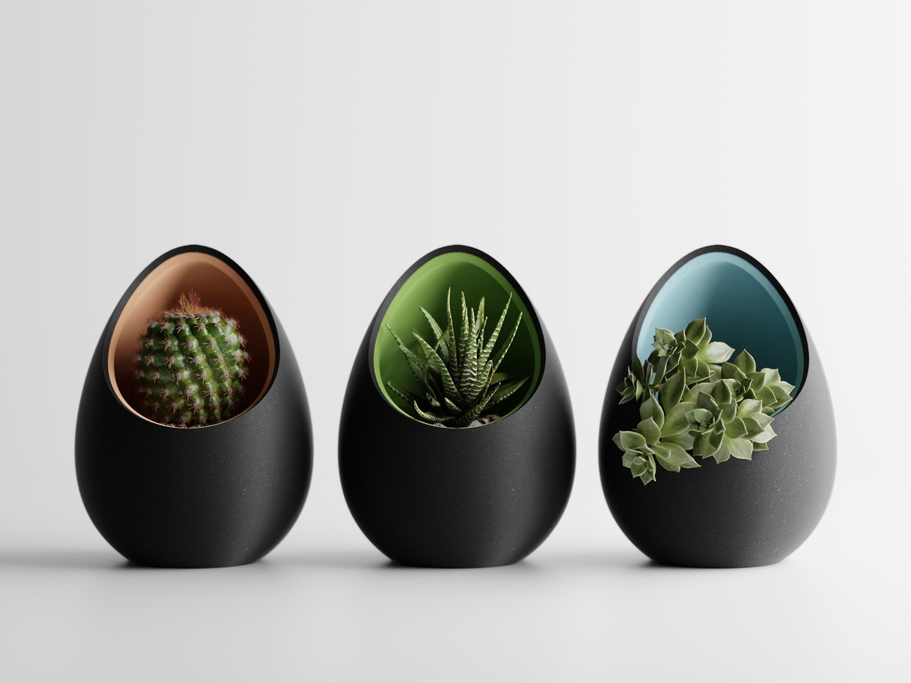 Modern Egg Succulent Planter, Minimalist Cactus Pot, Two-Part Decorative Planter