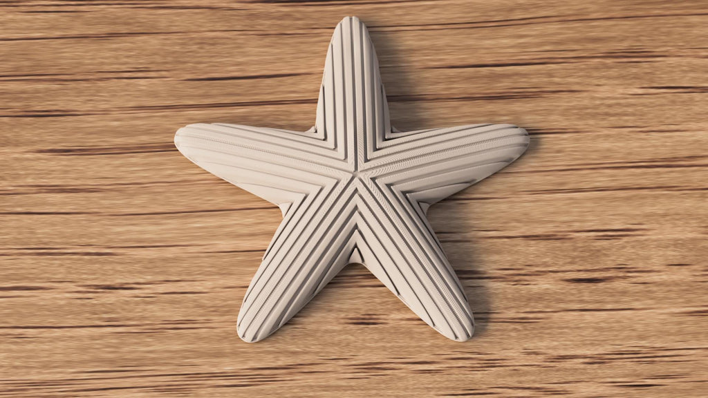 Japandi Starfish Ornament, Minimalist Coastal Shelf Decor, 3D Printed Sea Star Figurine