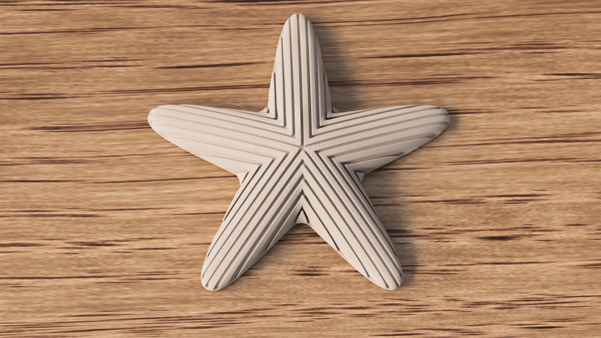 Japandi Starfish Ornament, Minimalist Coastal Shelf Decor, 3D Printed Sea Star Figurine