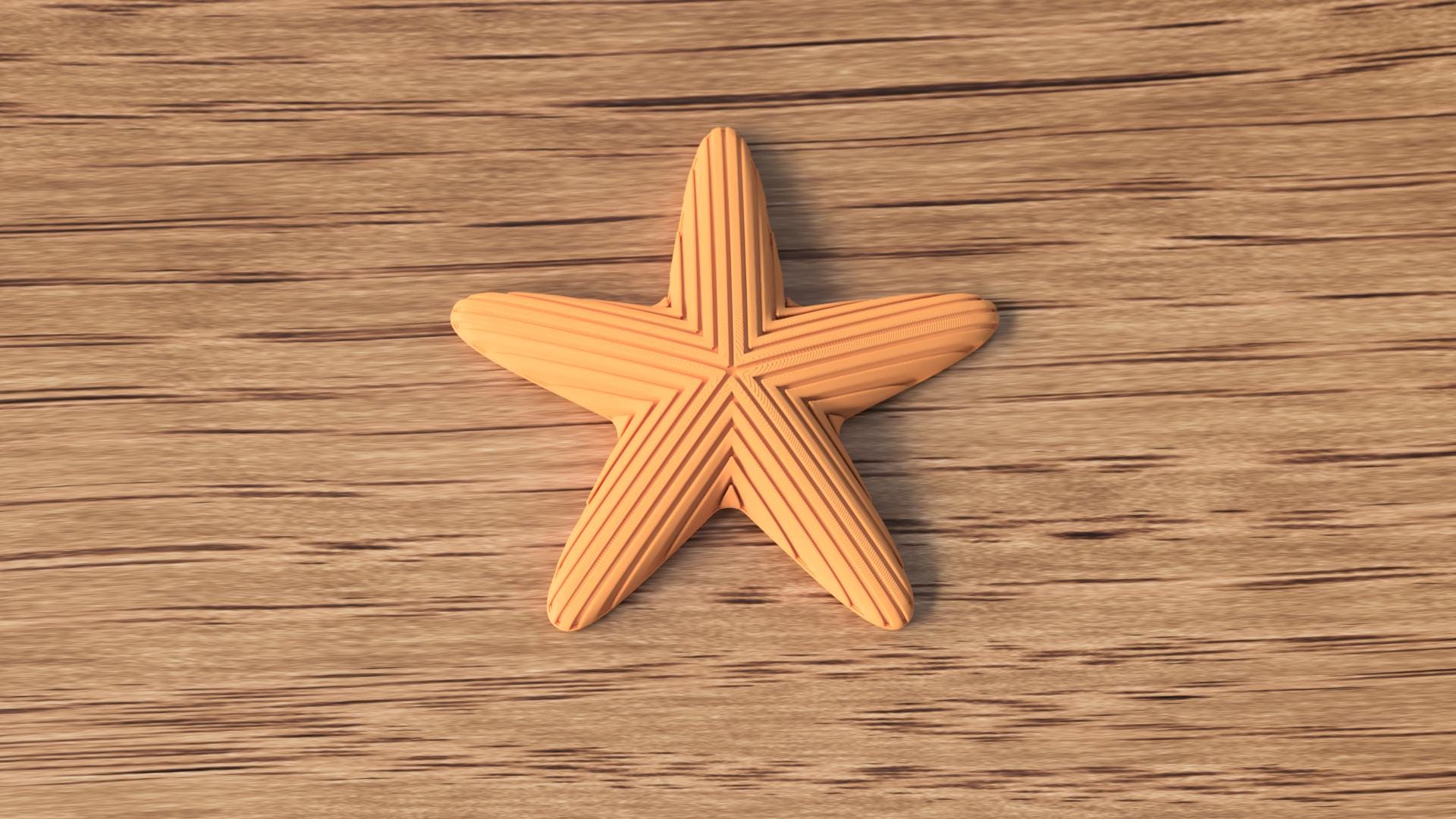 Japandi Starfish Ornament, Minimalist Coastal Shelf Decor, 3D Printed Sea Star Figurine