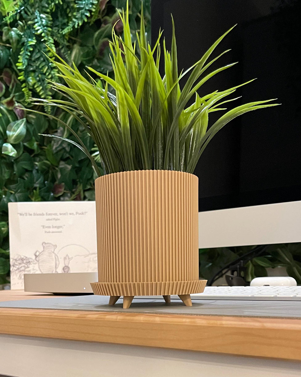 Ribbed Plant Pot with Legs | Japandi Planter | Indoor Flower Pot