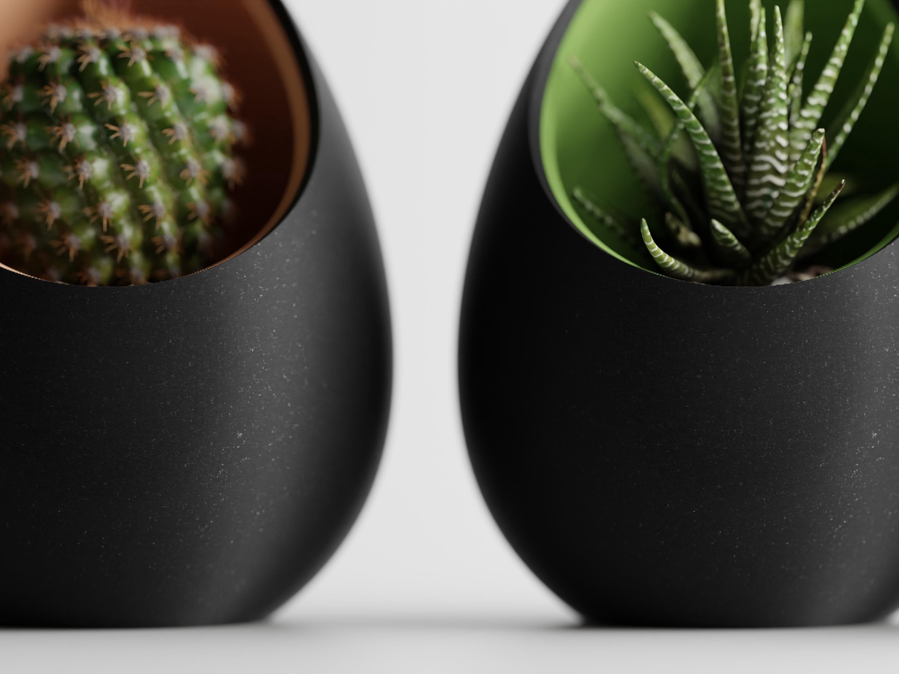 Modern Egg Succulent Planter, Minimalist Cactus Pot, Two-Part Decorative Planter