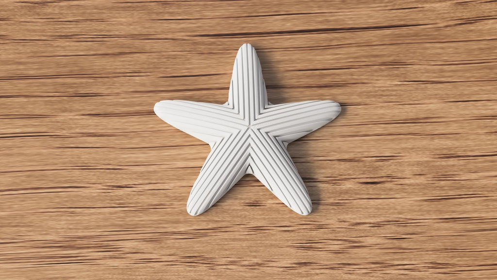 Japandi Starfish Ornament, Minimalist Coastal Shelf Decor, 3D Printed Sea Star Figurine
