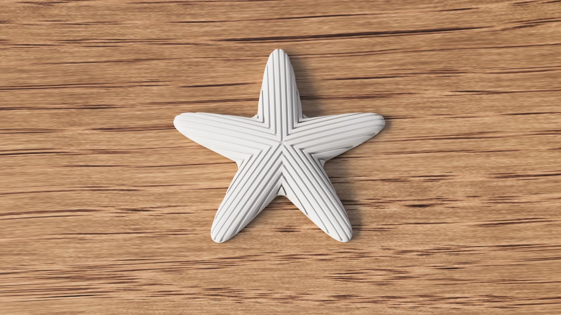 Japandi Starfish Ornament, Minimalist Coastal Shelf Decor, 3D Printed Sea Star Figurine