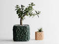 TerraForma Planter Pot | Voronoi Texture Plant Pot | Unique Home Decor