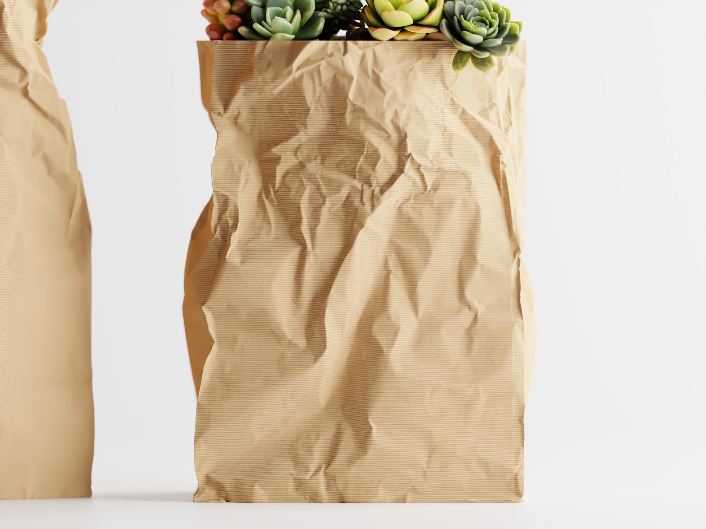 Crumpled Paper Bag Planter | Modern Sculptural 3D Printed Pot for Succulents