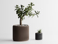 Planter with Wave Texture | Minimalist Indoor Planter | Succulent Pot | Home Decor Gift
