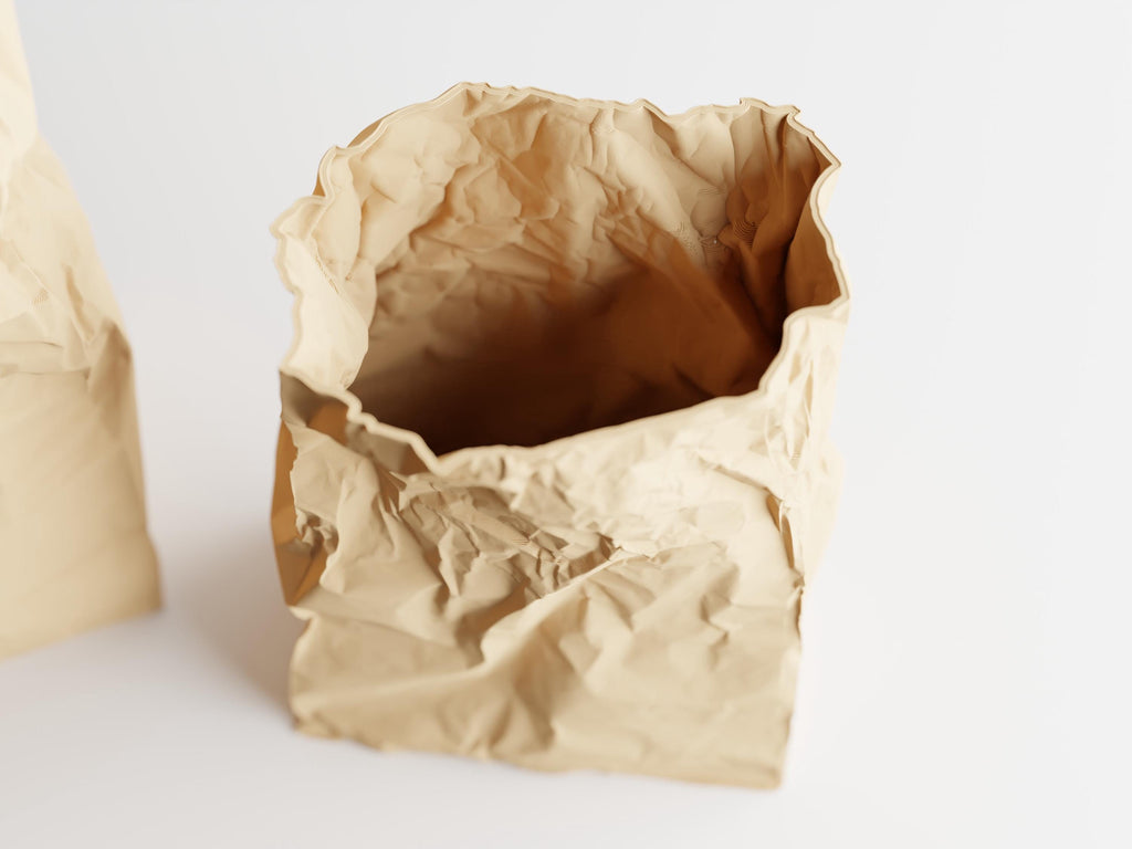 Crumpled Paper Bag Planter | Modern Sculptural 3D Printed Pot for Succulents