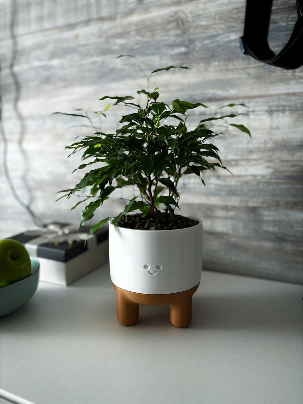 Melo Smiley Face Plant Pot with Legs | Two-Part Mix & Match Design