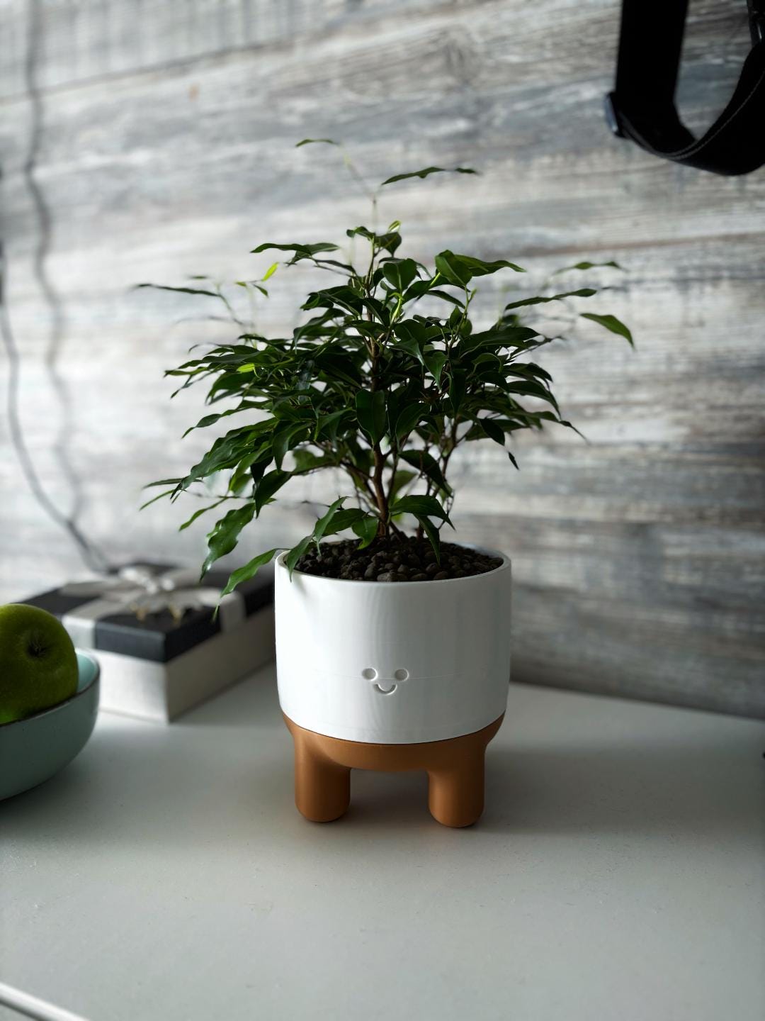 Melo Smiley Face Plant Pot with Legs | Two-Part Mix & Match Design