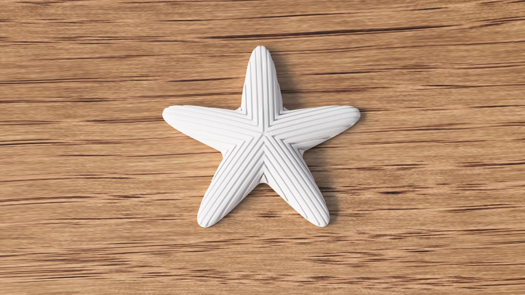 Japandi Starfish Ornament, Minimalist Coastal Shelf Decor, 3D Printed Sea Star Figurine