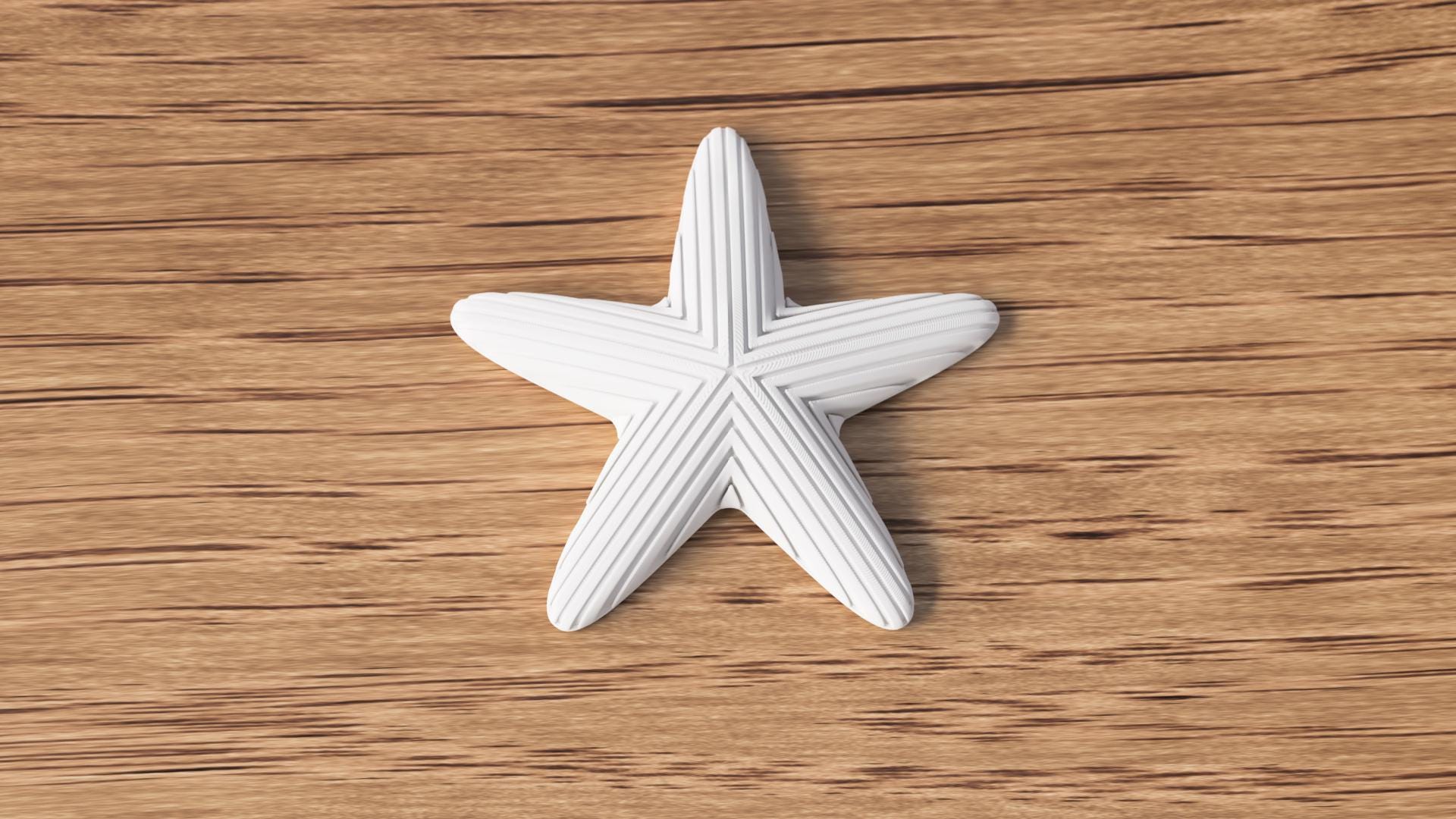 Japandi Starfish Ornament, Minimalist Coastal Shelf Decor, 3D Printed Sea Star Figurine